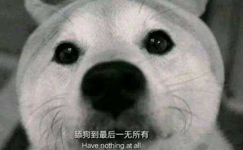 討好型人格：舔狗舔到最后一無所有