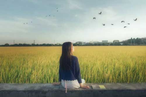 為什么你一生氣就拉黑對(duì)方？因?yàn)槟悴欢@個(gè)道理